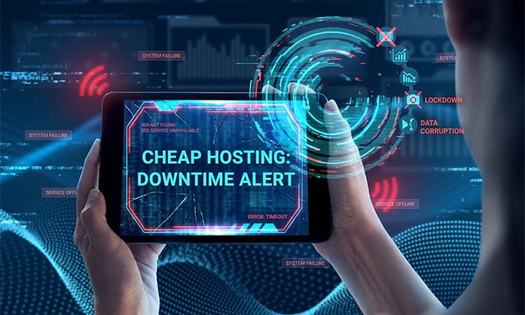Why Budget Web Hosting Costs Businesses Thousands